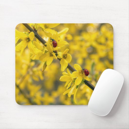 Marienkäfer auf gelbem Forsythienzweig Mousepad (Mit Mouse)
