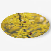 Marienkäfer auf gelbem Forsythienzweig Pappteller (Schrägansicht)