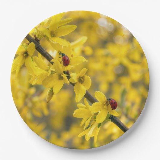 Marienkäfer auf gelbem Forsythienzweig Pappteller (Vorderseite)
