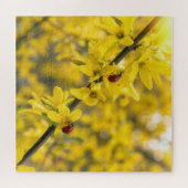 Marienkäfer auf gelbem Forsythienzweig Puzzle (Horizontal)