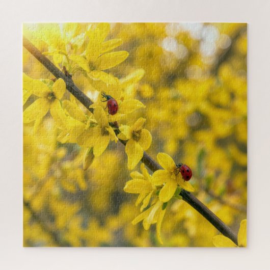 Marienkäfer auf gelbem Forsythienzweig Puzzle (Vertikal)
