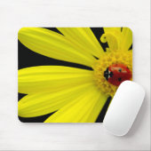 Marienkäfer auf gelbem Gänseblümchen Mousepad (Mit Mouse)