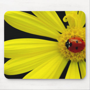 Marienkäfer auf gelbem Gänseblümchen Mousepad