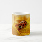 Marienkäfer auf gelber Blüte Kaffeetasse (Mittel)