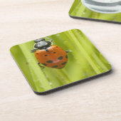 Marienkäfer auf Gras, Nahaufnahme Untersetzer (Linke Seite)