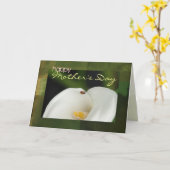 Marienkäfer auf Karte der Calla-Lilien-Mutter (Gelbe Blume)