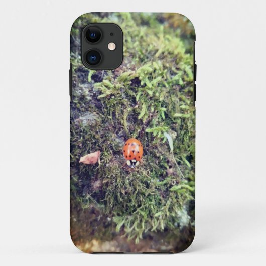 Marienkäfer auf Moos Fotografie Case-Mate iPhone Hülle (Rückseite)