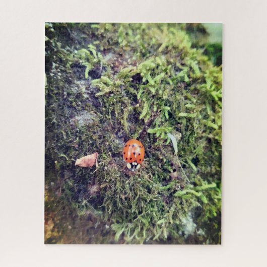 Marienkäfer auf Moos Fotografie Puzzle (Vertikal)