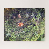 Marienkäfer auf Moos Fotografie Puzzle (Horizontal)