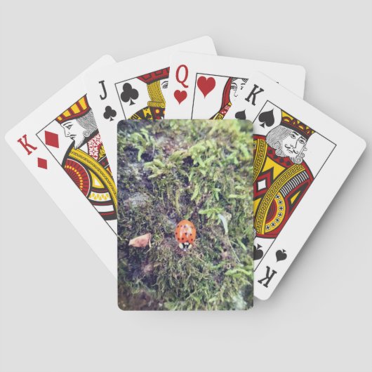Marienkäfer auf Moos Fotografie Spielkarten (Rückseite)