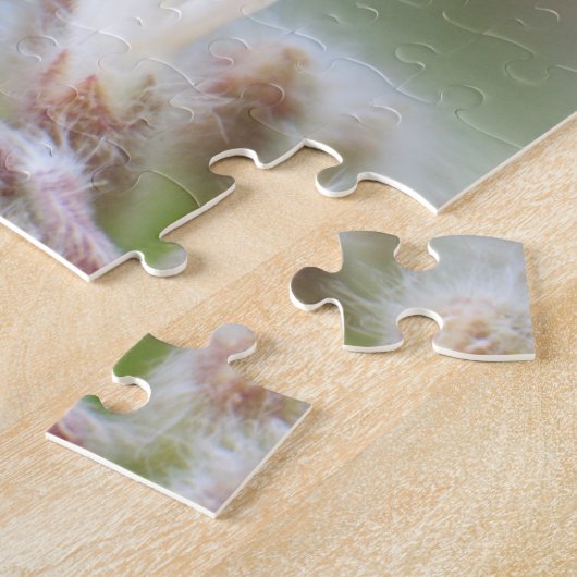 Marienkäfer auf Silverleaf Phacelia auf Puzzle (Seite)