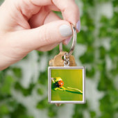 Marienkäfer auf Sprig Schlüsselanhänger (Hand)