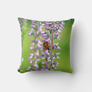Marienkäfer auf violetten Blumen  Kissen