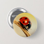 Marienkäfer Button (Vorne & Hinten)