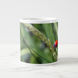 Marienkäfer (Coccinellidae) Jumbo-Tasse