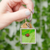 Marienkäfer, der über ein Blatt geht Schlüsselanhänger (Hand)