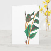 Marienkäfer Farn Karte (Gelbe Blume)