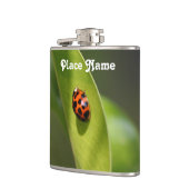 Marienkäfer Flachmann (Links)