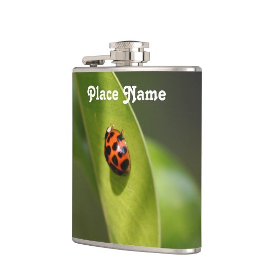 Marienkäfer Flachmann (Links)