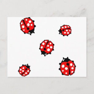 Marienkäfer-Formation Postkarte