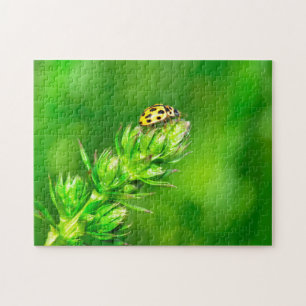 Marienkäfer ganz oben ! puzzle