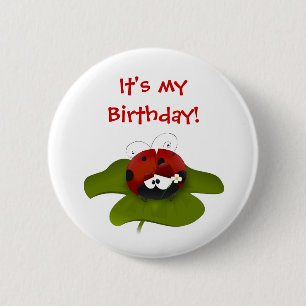 Marienkäfer-Geburtstags-Knopf Button
