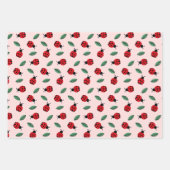 Marienkäfer Geschenkpapier Set (Vorderseite)