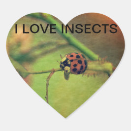 Marienkäfer Herz-Aufkleber