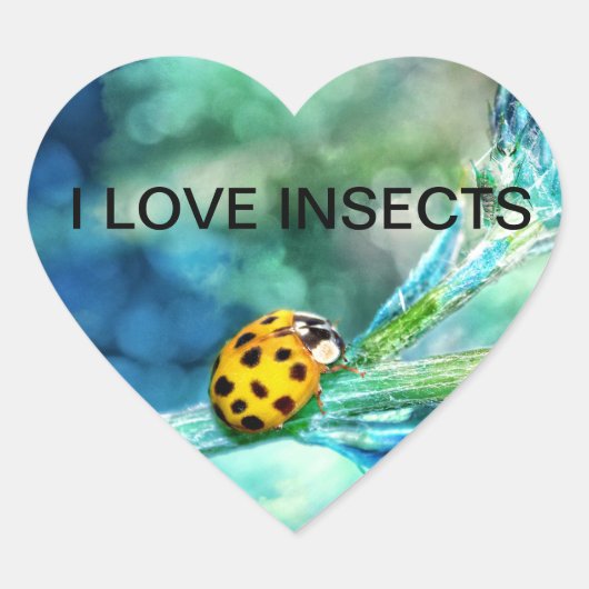 Marienkäfer Herz-Aufkleber (Vorderseite)