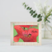 Marienkäfer im Mohn Postkarte (Stehend Vorderseite)