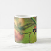 Marienkäfer in der Natur Kaffeetasse (Mittel)