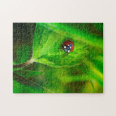 Marienkäfer in Grüner Natur Puzzle (Horizontal)