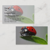 Marienkäfer-Insekten Visitenkarte (Vorne/Hinten)
