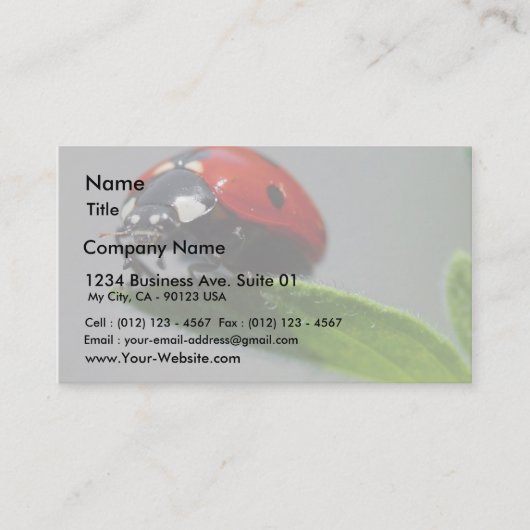Marienkäfer-Insekten Visitenkarte (Vorderseite)