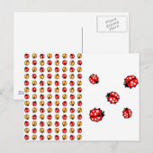 Marienkäfer Invasion Postkarte (Vorne/Hinten)