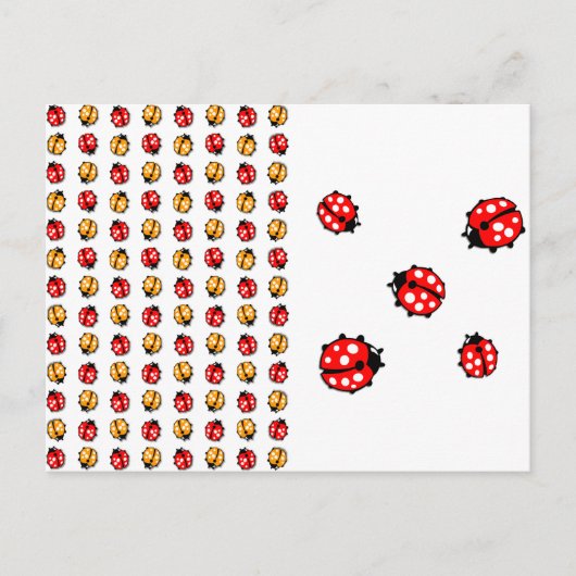 Marienkäfer Invasion Postkarte (Vorderseite)