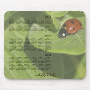 Marienkäfer-Kalender 2012-2014 Mousepad