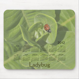 Marienkäfer-Kalender 2012 Mousepad