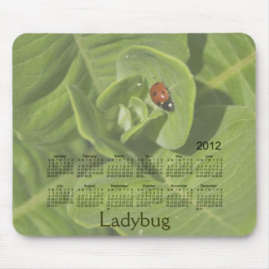 Marienkäfer-Kalender 2012 Mousepad (Vorne)