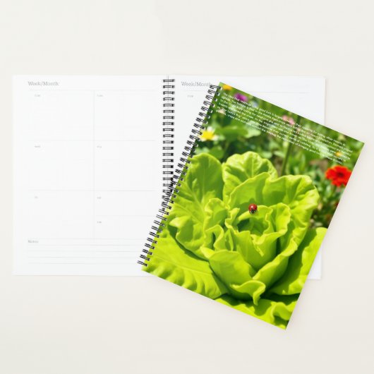 Marienkäfer-Kalender Planer (Anzeige)