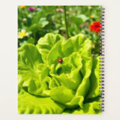 Marienkäfer-Kalender Planer (Rückseite)