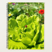 Marienkäfer-Kalender Planer (Vorderseite)