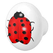 Marienkäfer Keramikknauf (Rechts)