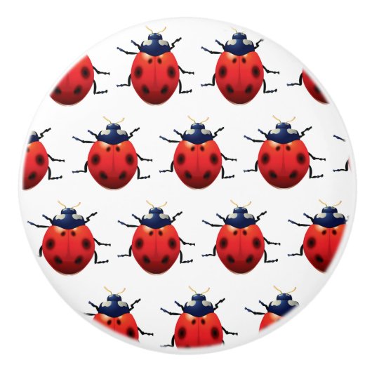 Marienkäfer Keramikknauf (Vorderseite)