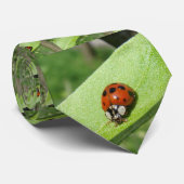Marienkäfer Krawatte (Gerollt)