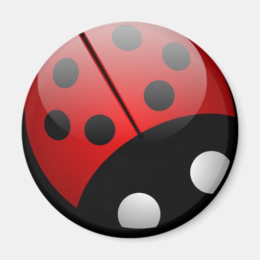 Marienkäfer Magnet (Vorne)
