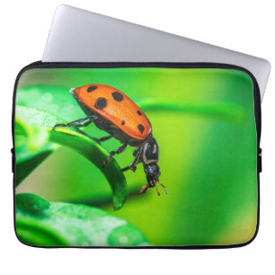 Marienkäfer-Makro-Laptop-Hülle   Nature-Tech-Tasch Laptopschutzhülle