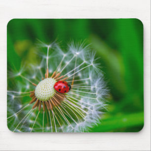 Marienkäfer-Mäusematte Mousepad