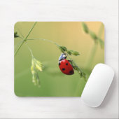 Marienkäfer-Mausunterlage Mousepad (Mit Mouse)