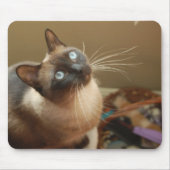 Marienkäfer Mousepad (Vorne)